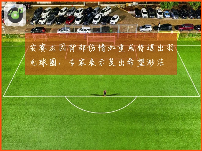 安赛龙因背部伤情加重或将退出羽毛球圈，专家表示复出希望渺茫