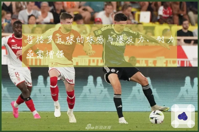 哲格罗瓦球的球感与爆发力、耐力亟需增强