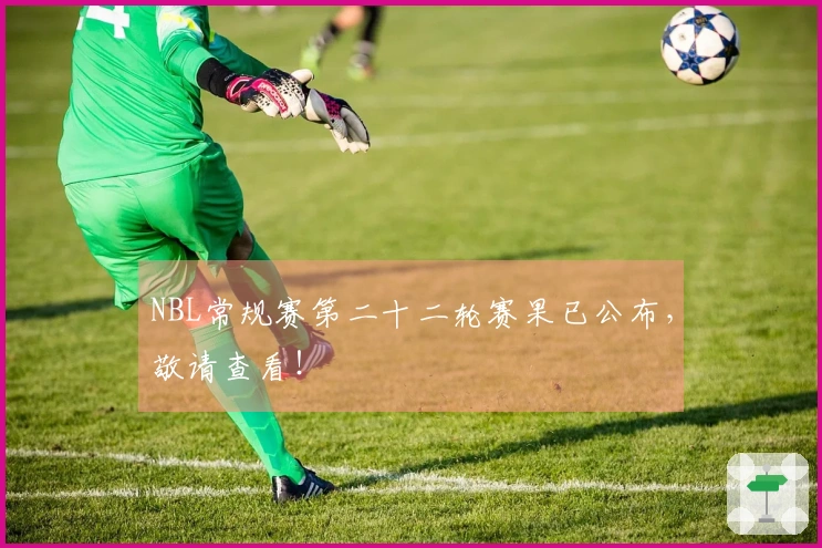 NBL常规赛第二十二轮赛果已公布，敬请查看！