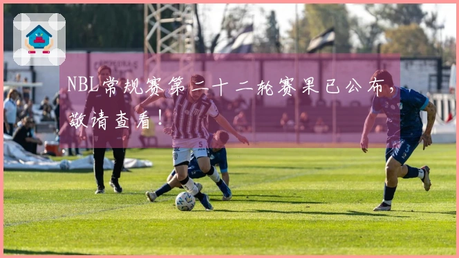 NBL常规赛第二十二轮赛果已公布，敬请查看！